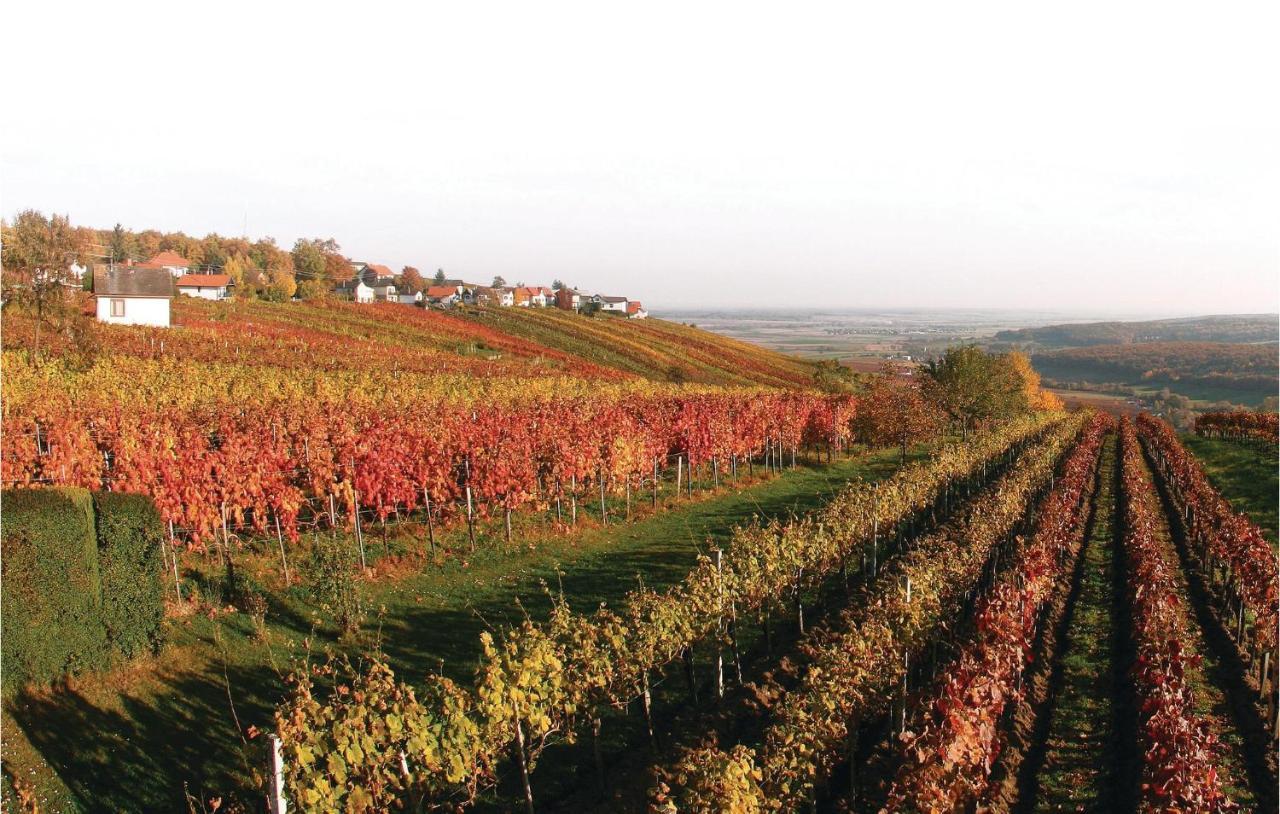 Villa Haus In Strem Mit Panoramab, Esterno foto